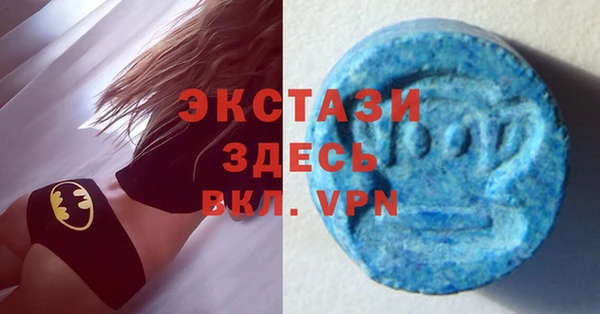 шишки Пересвет