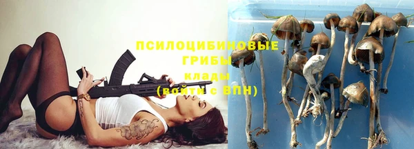 дурь Алексин