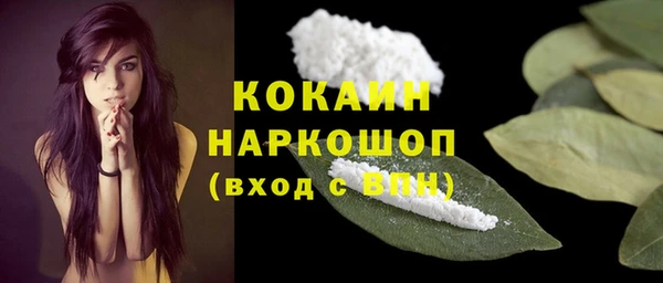 дурь Алексин