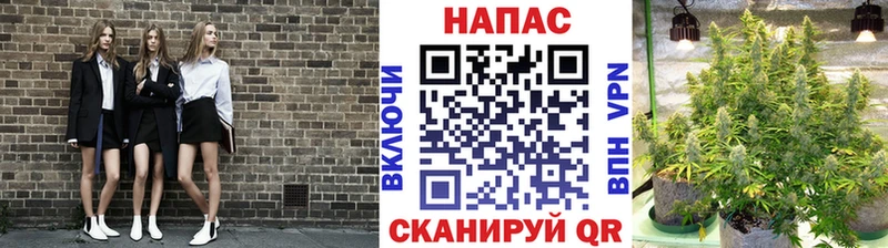 МАРИХУАНА Ganja Сунжа
