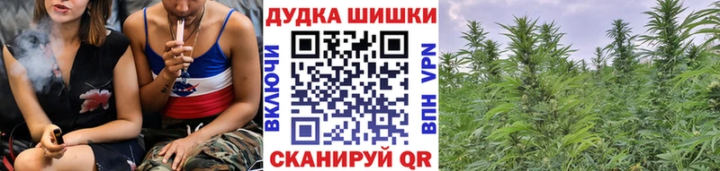 Конопля VHQ  Сунжа 